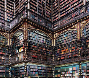 Meet your Posher, Owen